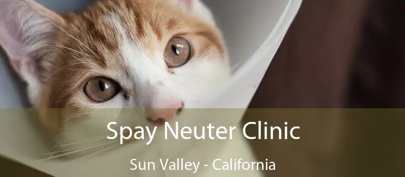 Spay Neuter Clinic Sun Valley - California