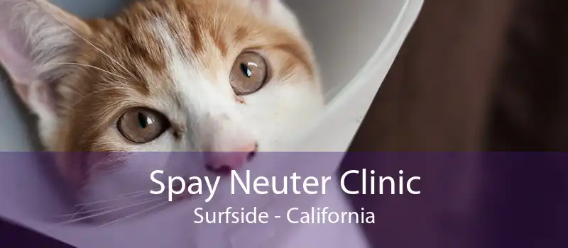 Spay Neuter Clinic Surfside - California