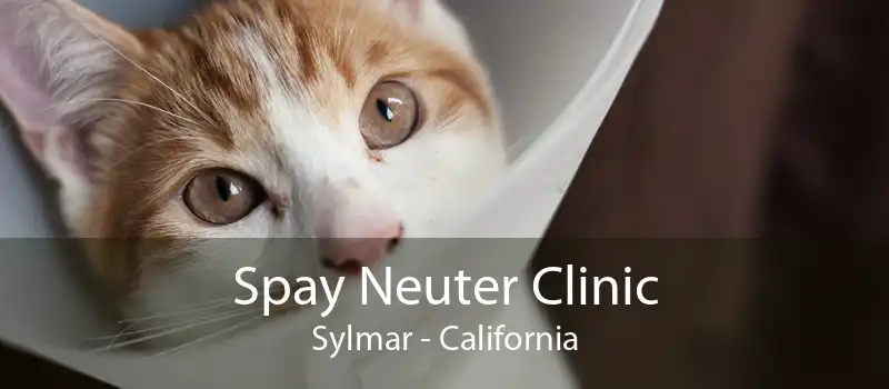 Spay Neuter Clinic Sylmar - California