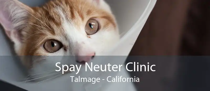 Spay Neuter Clinic Talmage - California