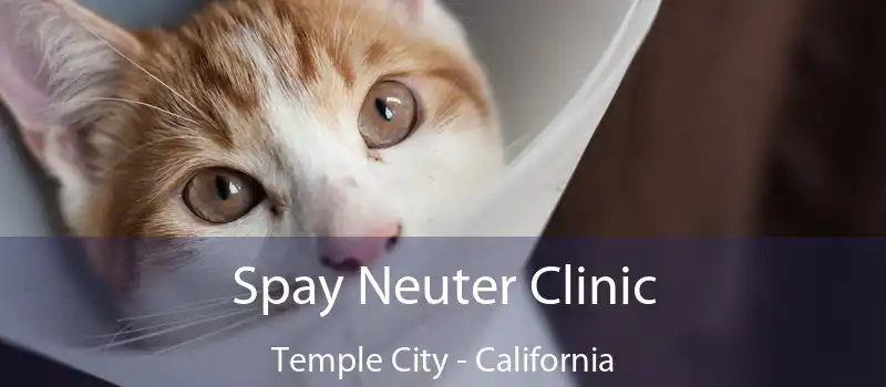 Spay Neuter Clinic Temple City - California