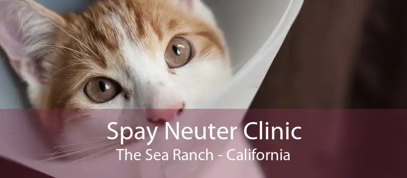 Spay Neuter Clinic The Sea Ranch - California