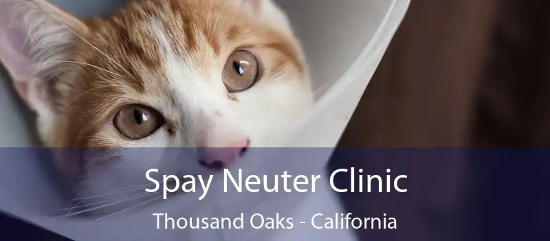 Spay Neuter Clinic Thousand Oaks - California