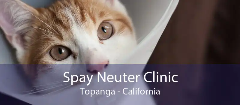 Spay Neuter Clinic Topanga - California