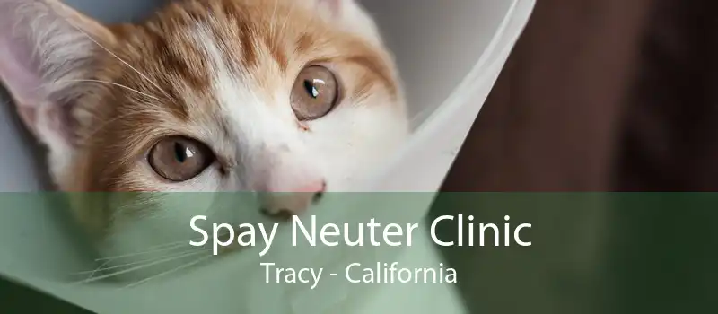 Spay Neuter Clinic Tracy - California