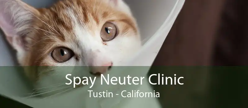 Spay Neuter Clinic Tustin - California