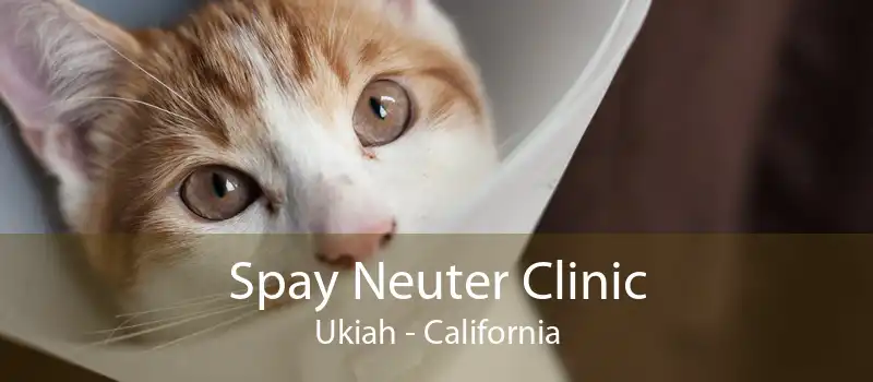 Spay Neuter Clinic Ukiah - California