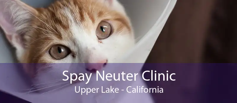 Spay Neuter Clinic Upper Lake - California