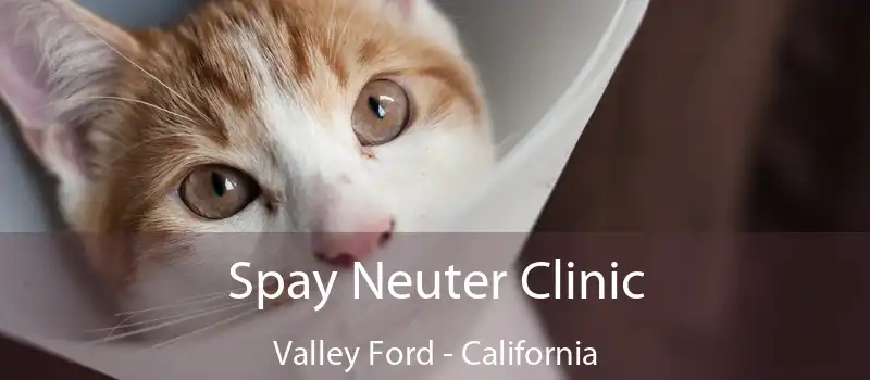 Spay Neuter Clinic Valley Ford - California