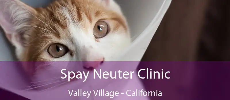 Spay Neuter Clinic Valley Village - California