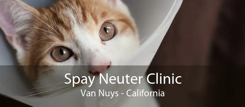 Spay Neuter Clinic Van Nuys - California