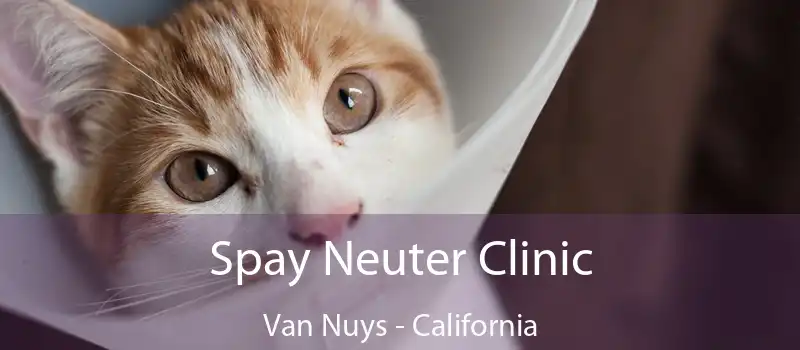 Spay Neuter Clinic Van Nuys - California