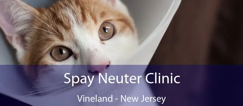 Spay Neuter Clinic Vineland - New Jersey