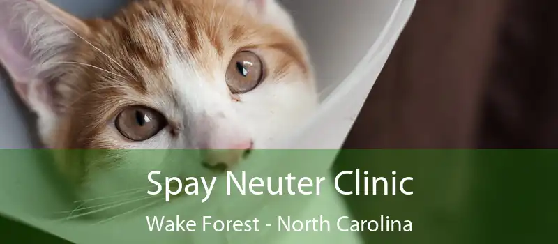 Spay Neuter Clinic Wake Forest - North Carolina