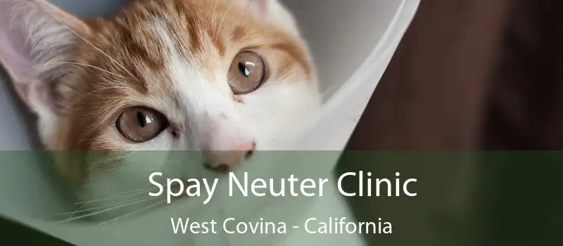 Spay Neuter Clinic West Covina - California