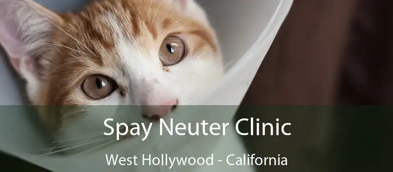 Spay Neuter Clinic West Hollywood - California