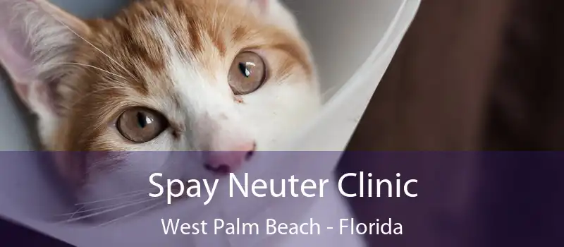 Spay Neuter Clinic West Palm Beach - Florida
