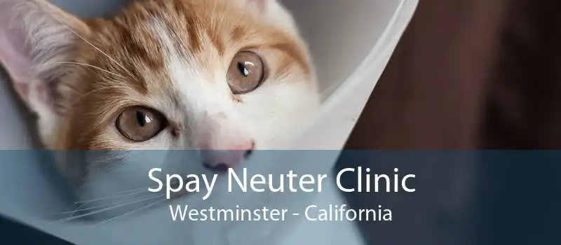 Spay Neuter Clinic Westminster - California