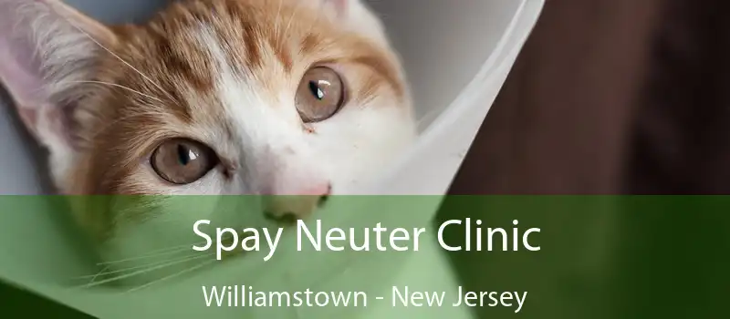 Spay Neuter Clinic Williamstown - New Jersey