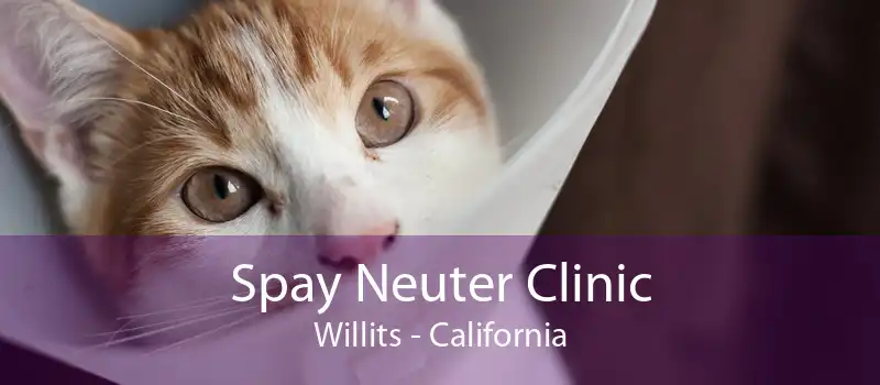 Spay Neuter Clinic Willits - California