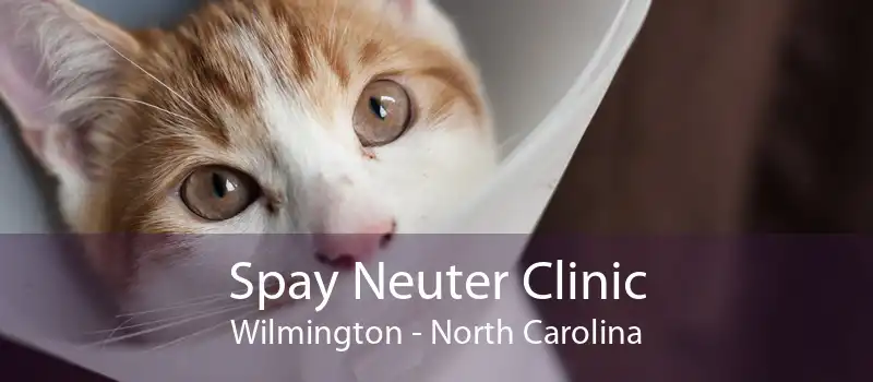 Spay Neuter Clinic Wilmington - North Carolina
