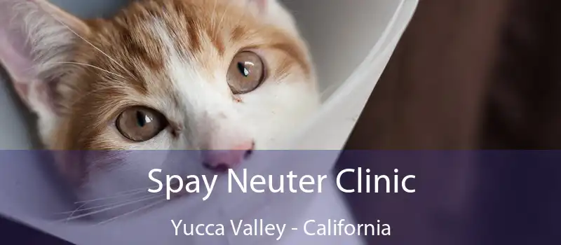 Spay Neuter Clinic Yucca Valley - California