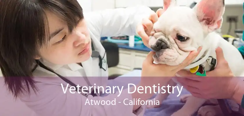 Veterinary Dentistry Atwood - California