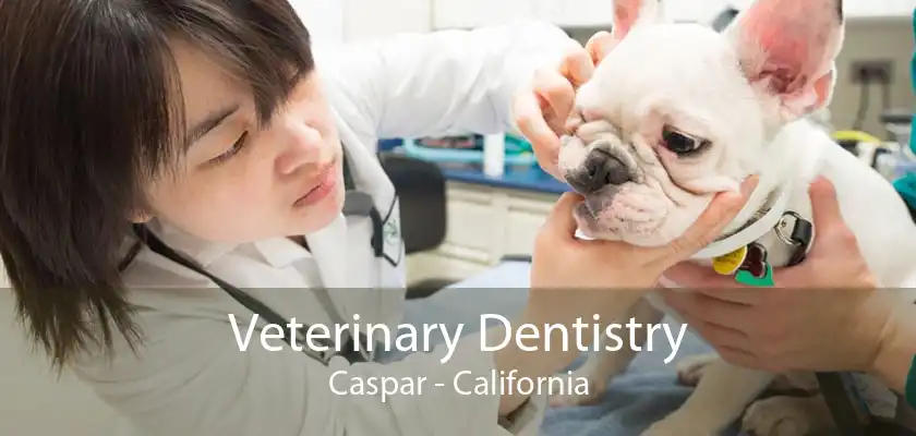 Veterinary Dentistry Caspar - California