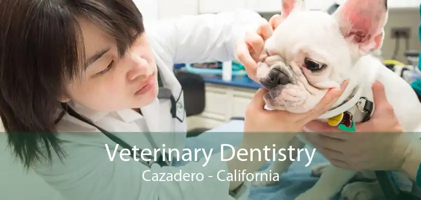 Veterinary Dentistry Cazadero - California