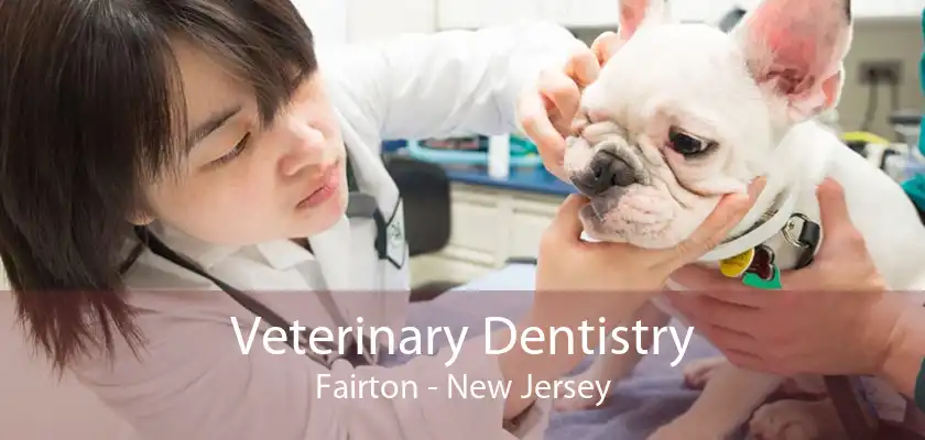Veterinary Dentistry Fairton - New Jersey