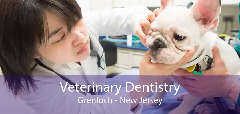 Veterinary Dentistry Grenloch - New Jersey