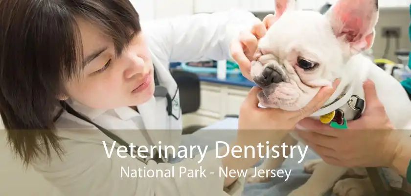Veterinary Dentistry National Park - New Jersey