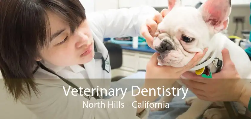 Veterinary Dentistry North Hills - California