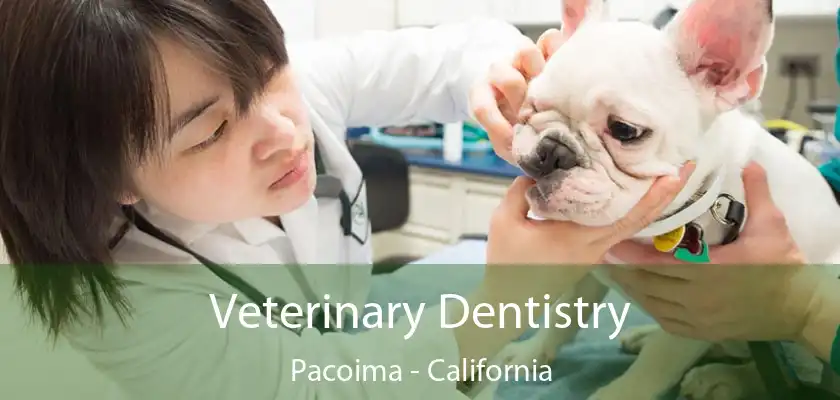 Veterinary Dentistry Pacoima - California