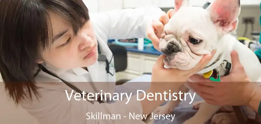 Veterinary Dentistry Skillman - New Jersey
