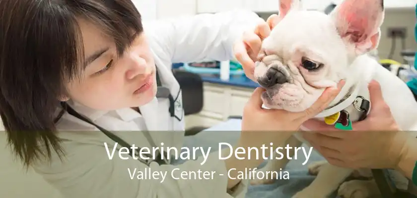 Veterinary Dentistry Valley Center - California