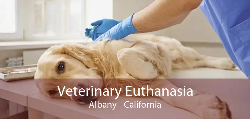 Veterinary Euthanasia Albany - California