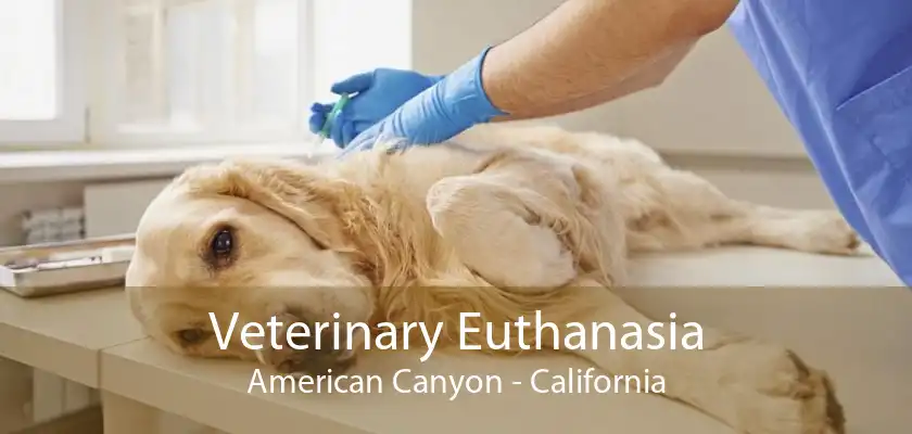 Veterinary Euthanasia American Canyon - California