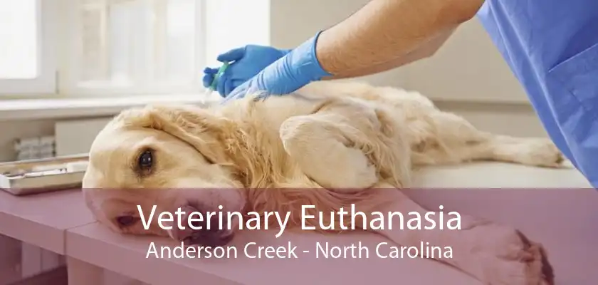 Veterinary Euthanasia Anderson Creek - North Carolina