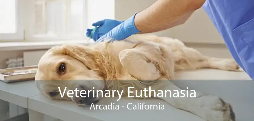 Veterinary Euthanasia Arcadia - California
