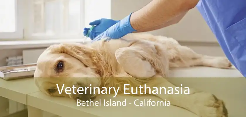 Veterinary Euthanasia Bethel Island - California
