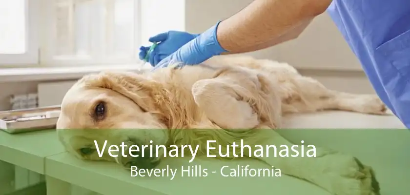 Veterinary Euthanasia Beverly Hills - California