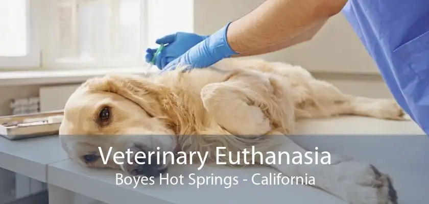 Veterinary Euthanasia Boyes Hot Springs - California