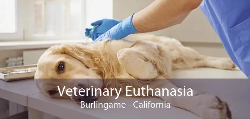 Veterinary Euthanasia Burlingame - California