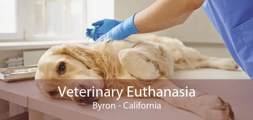 Veterinary Euthanasia Byron - California