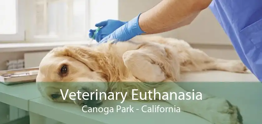 Veterinary Euthanasia Canoga Park - California