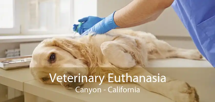 Veterinary Euthanasia Canyon - California