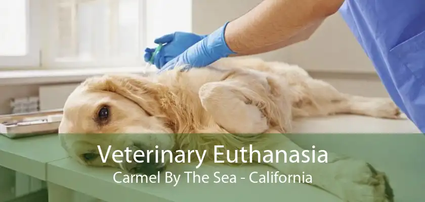Veterinary Euthanasia Carmel By The Sea - California