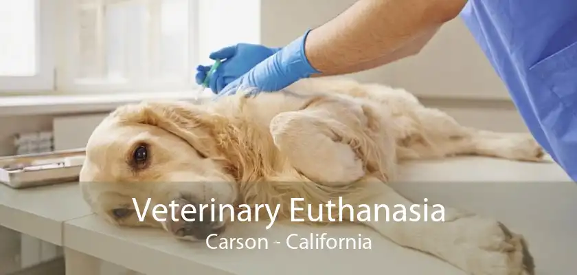 Veterinary Euthanasia Carson - California