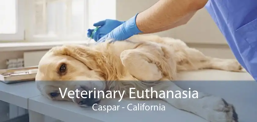 Veterinary Euthanasia Caspar - California